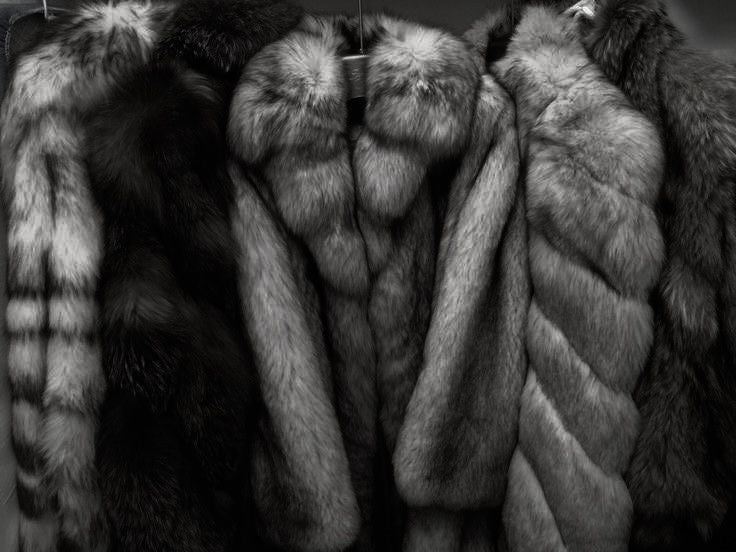 Averín Club: Women’s